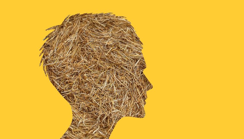 Inger enkvist reflexiona sobre la estupidez. Foto: © Pixabay / geralt