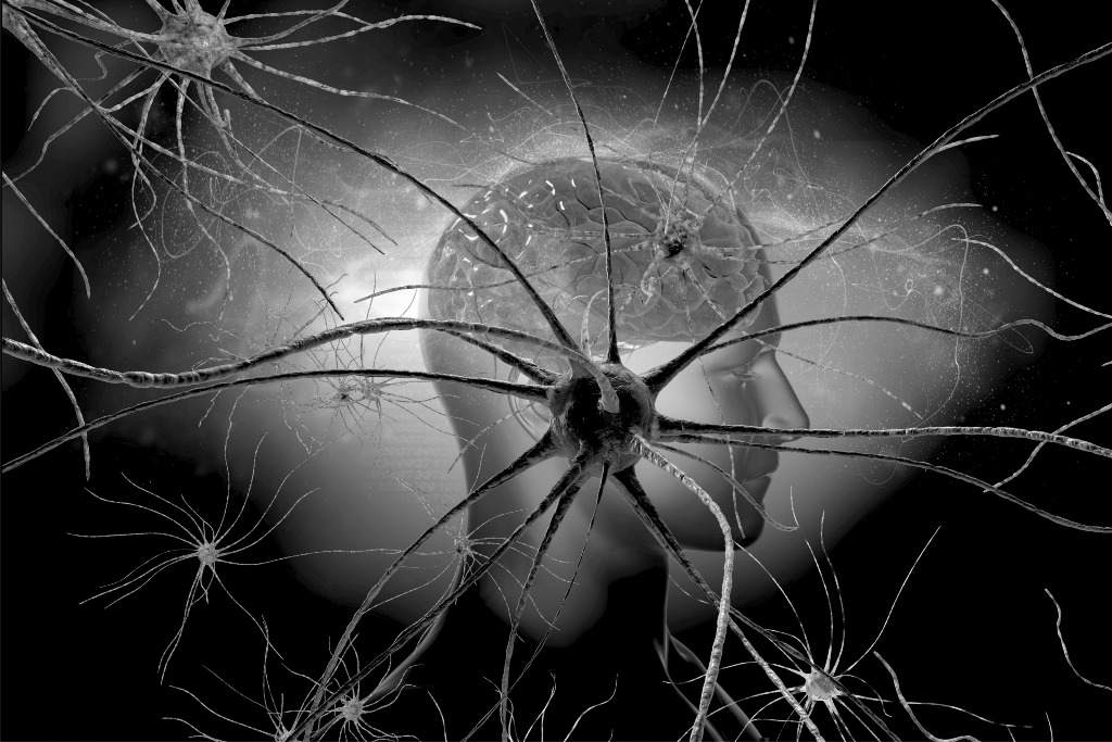 El misterio del ser humano - Nueva Revista
