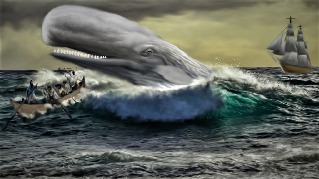 Moby Dick © Shutterstock