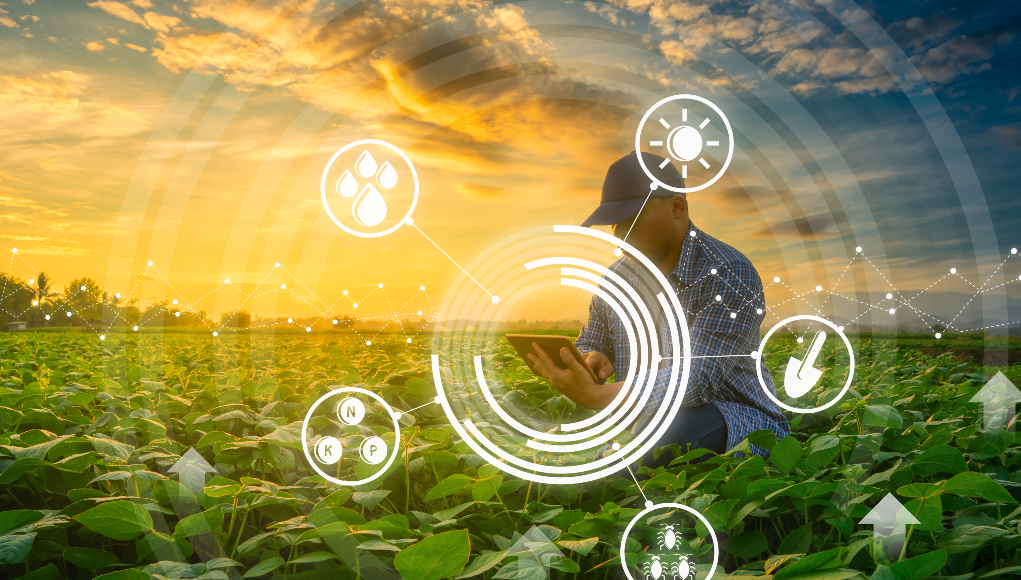 Foto: ©Shutterstock.