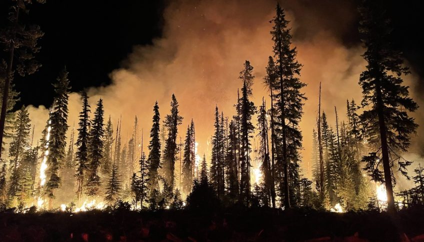 Incendio en el Bosque Nacional Umatilla (Oregón, EE.UU.).