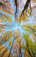 «Vida contemplativa», de Byung Chul-Han